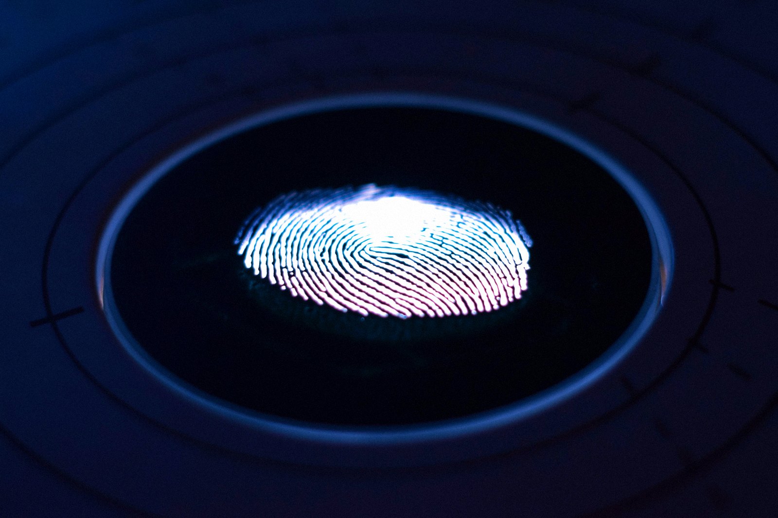 Digital fingerprint illustrating privacy and data protection
